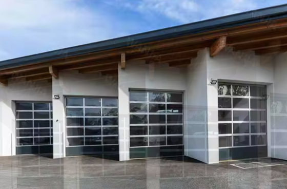Porte de garage sectionnelle en aluminium noir givré transparent avec design sectionnel, de style moderne, étanche et automatique